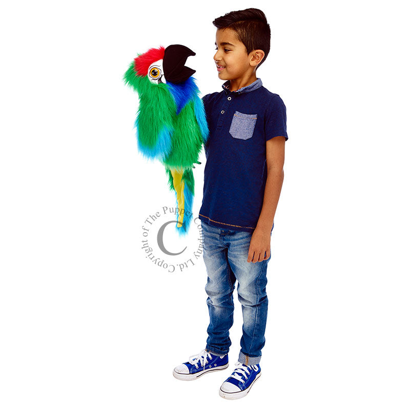 Military Macaw Puppet by The Puppet Company #PC003109