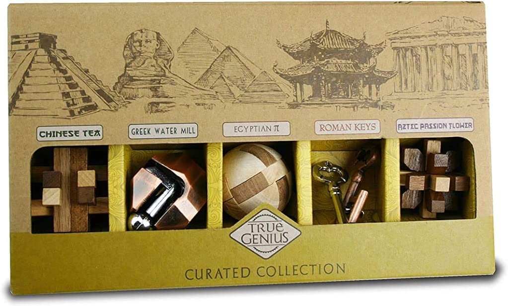 Curated Collection, Wood & Metal Brainteaser Puzzles by Project Genius #TG026