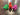 Squeeze Bubble Dinosaurs