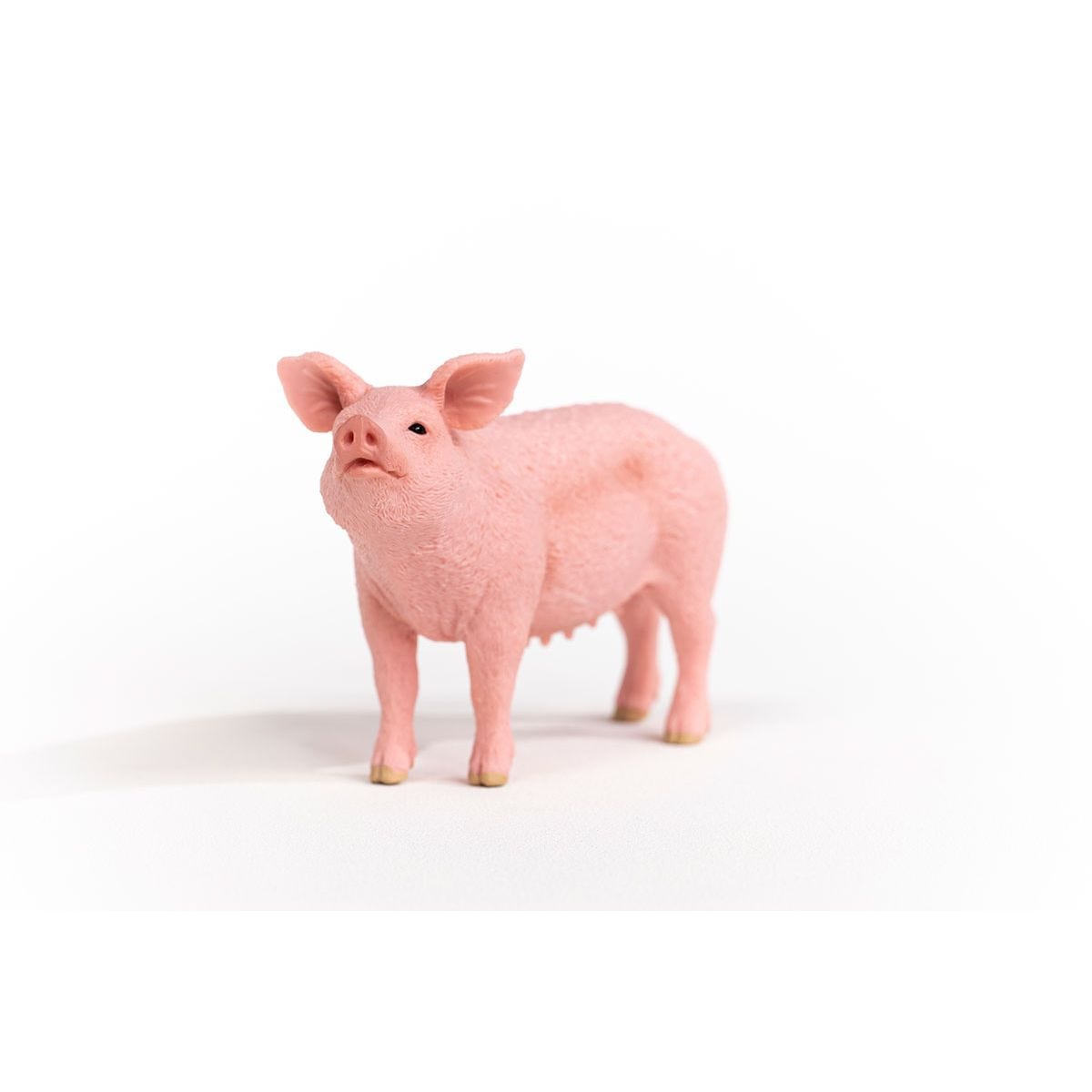 Pig by Schleich #13933