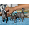 Cheval de Selle Francois Foal by Schleich #13957