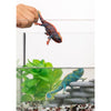 Chameleon by Schleich #14858