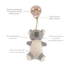 *NEW OPTIONS* Bitzy Pal Natural Rubber Pacifier & Plush: Bow