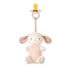 *NEW OPTIONS* Bitzy Pal Natural Rubber Pacifier & Plush: Bow