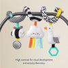 Itzy Bitzy Spiral Car Seat Activity Toy: High Contrast