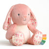 *NEW* Sweetie Snuggles™ Plush: Highland Cow