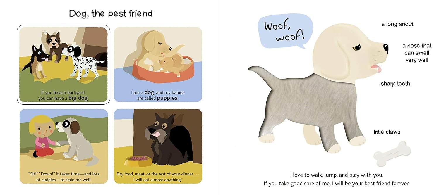 "Touch and Explore: Pets" Board Book