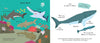 "Touch and Explore: Ocean" Board Book