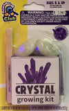 Crystal Growing Mini Kit by Anker Play #650001/DOM