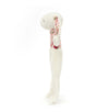 Blossom Cream Bunny 'Berry' Comforter by Jellycat #CMF4MS