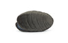 Amuseables Michelle Mussel by Jellycat #A4MSL