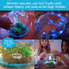 Wow in the World: Light-Up Terrarium by Thames & Kosmos