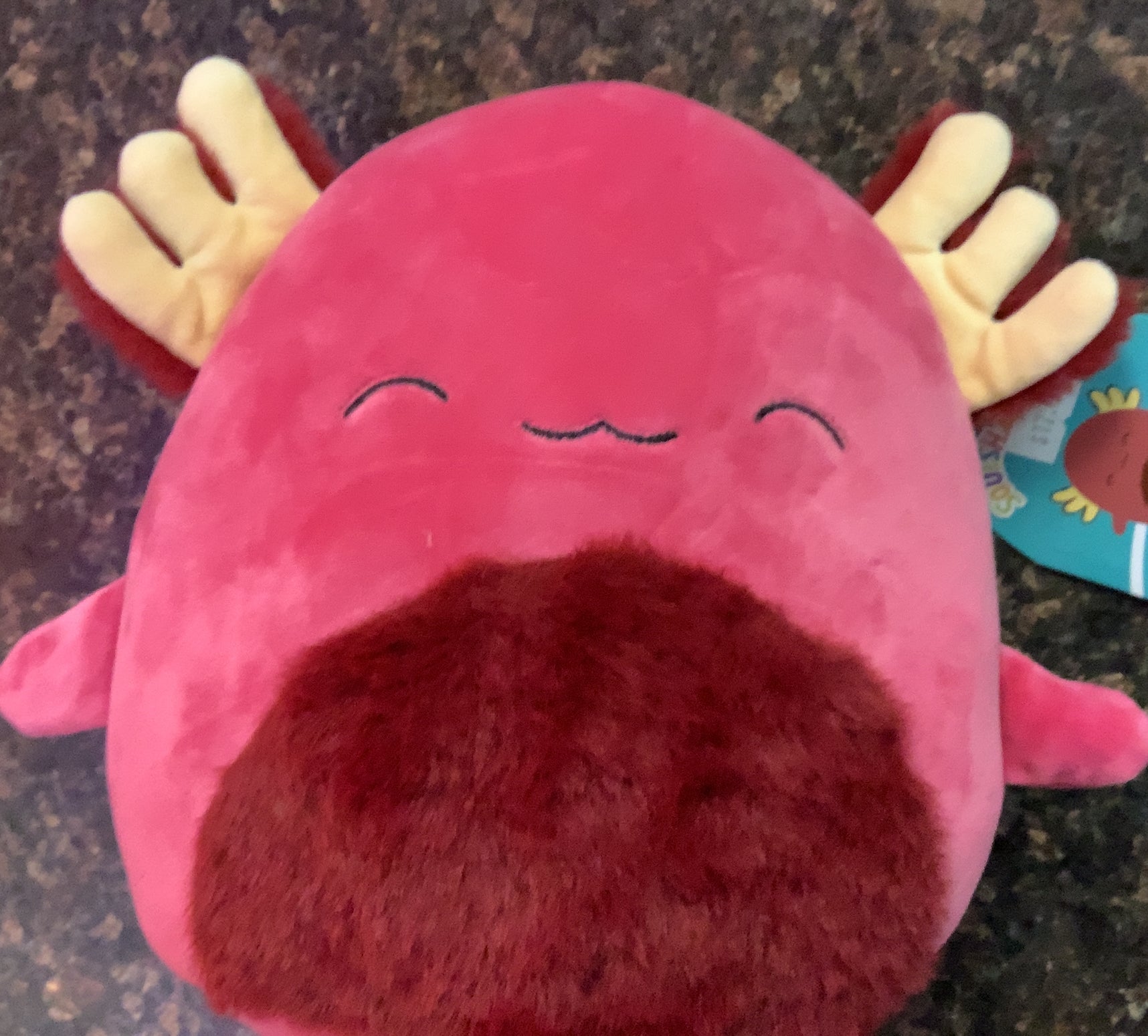 IndieMae 8” Squishmallow Specialty Axolotl Plush