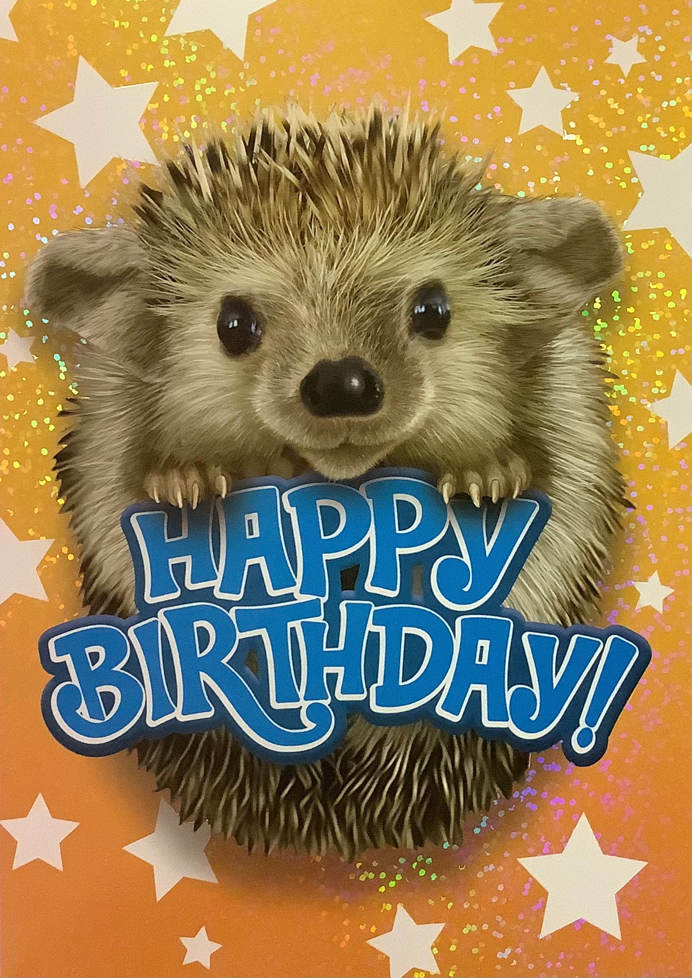 Hedgehog Card by Peaceable Kingdom