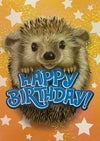 Hedgehog Card by Peaceable Kingdom