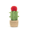 Amuseables Moon Cactus by Jellycat #A6MCA