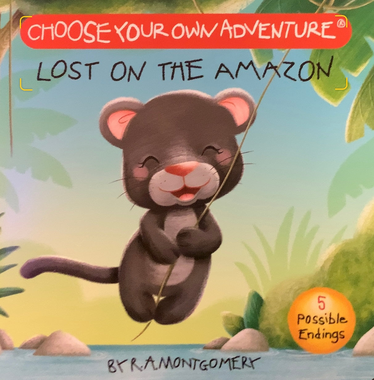 Lost On The Amazon Choose Your Own Adventure Board Book