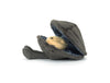 Amuseables Michelle Mussel by Jellycat #A4MSL