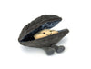 Amuseables Michelle Mussel by Jellycat #A4MSL