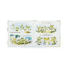A Fantastic Day For Finnegan Frog Book by Jellycat #BK4FIN