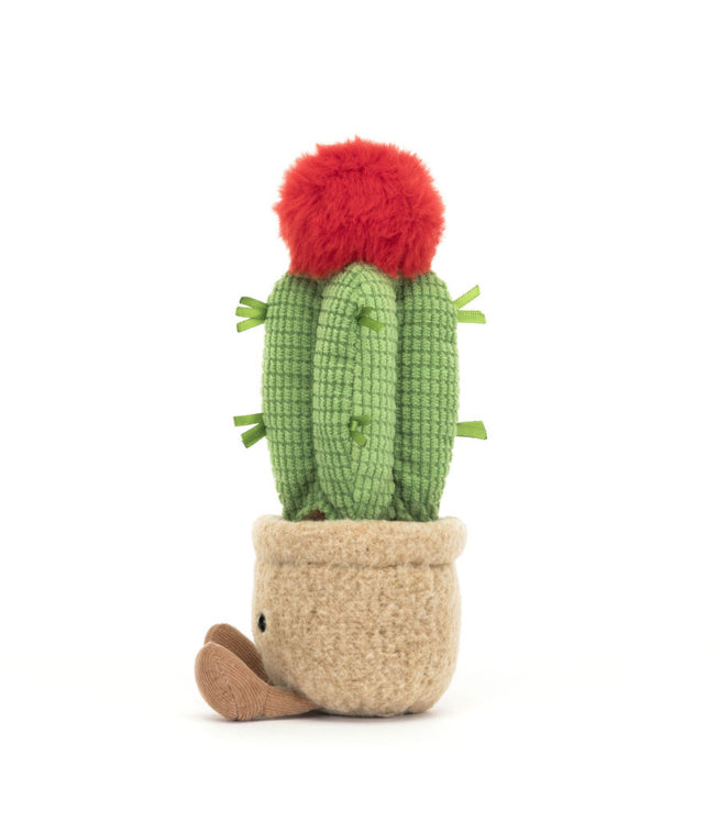 Amuseables Moon Cactus by Jellycat #A6MCA