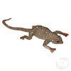 6” Color Changing Lizard by Toy Network #TPA-CCLIZ