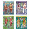 Human Anatomy Puzzle by Eeboo
