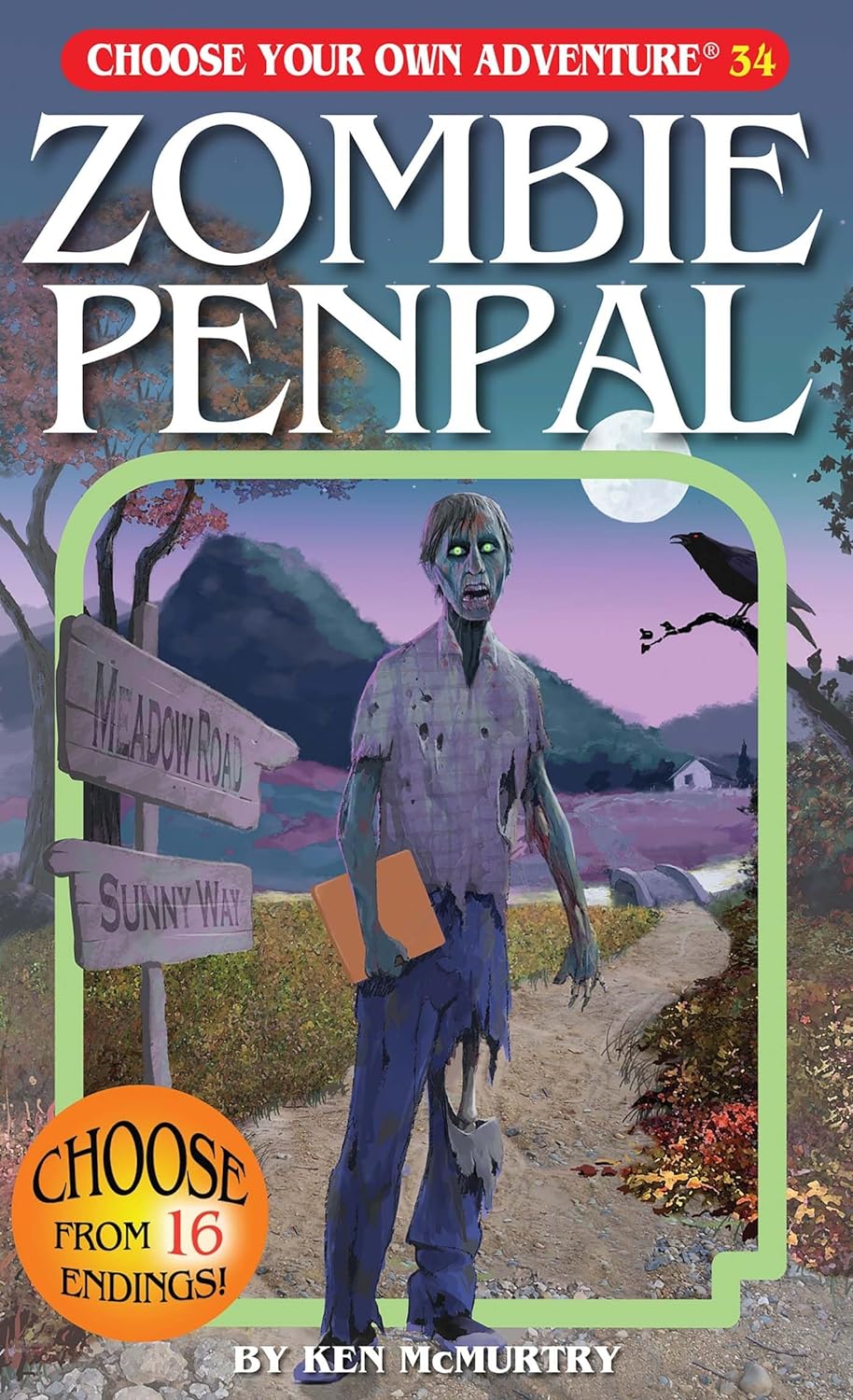 Zombie Penpal Choose Your Own Adventure