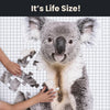 Large As Life 50 Piece Koala Puzzle