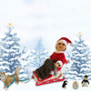 Winter Sleigh Set For 18” Doll #E140