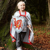Amber Dragon Knight Shield