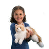 Kiki Ragdoll Cat by Douglas #284