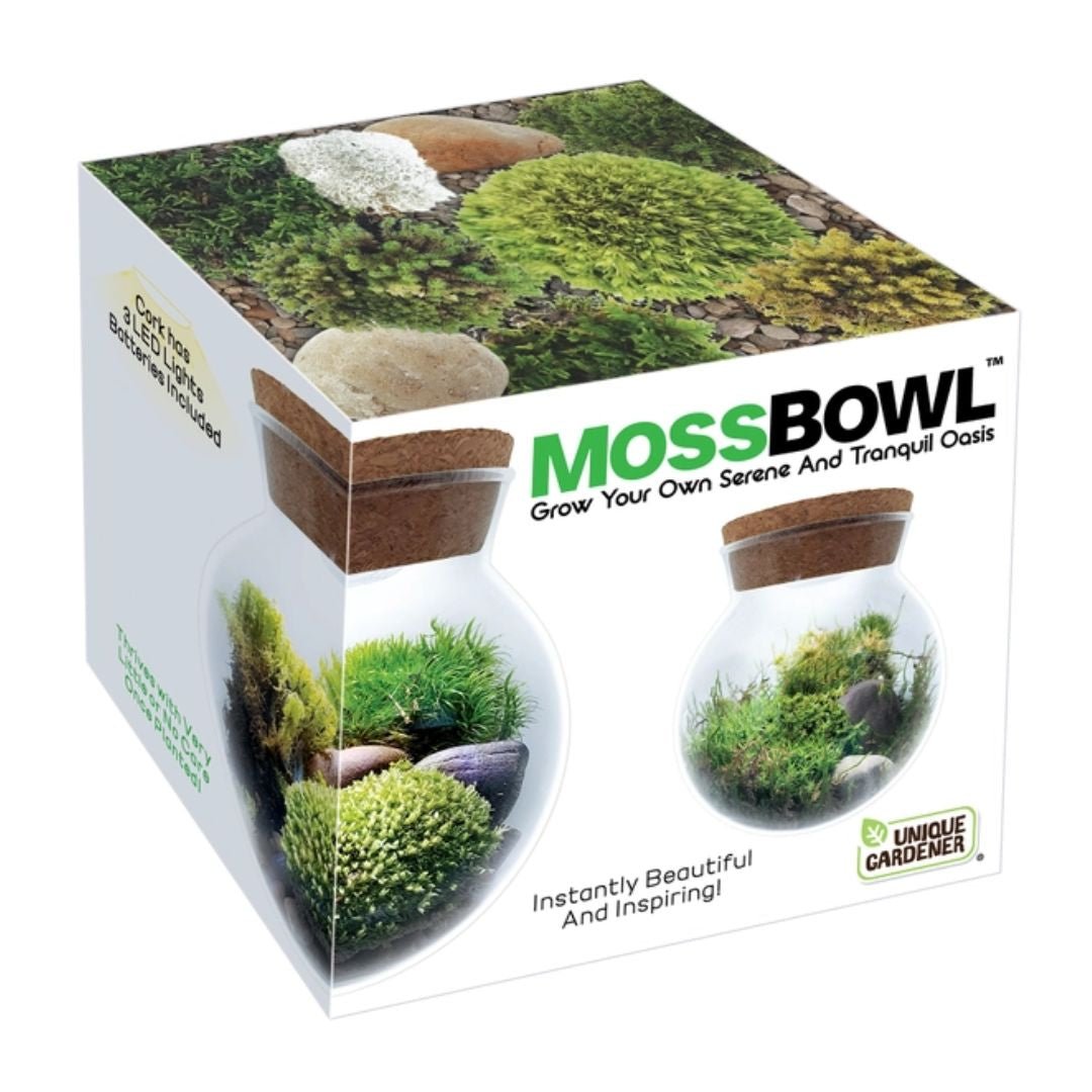 Moss Bowl - Grow Your Own Oasis