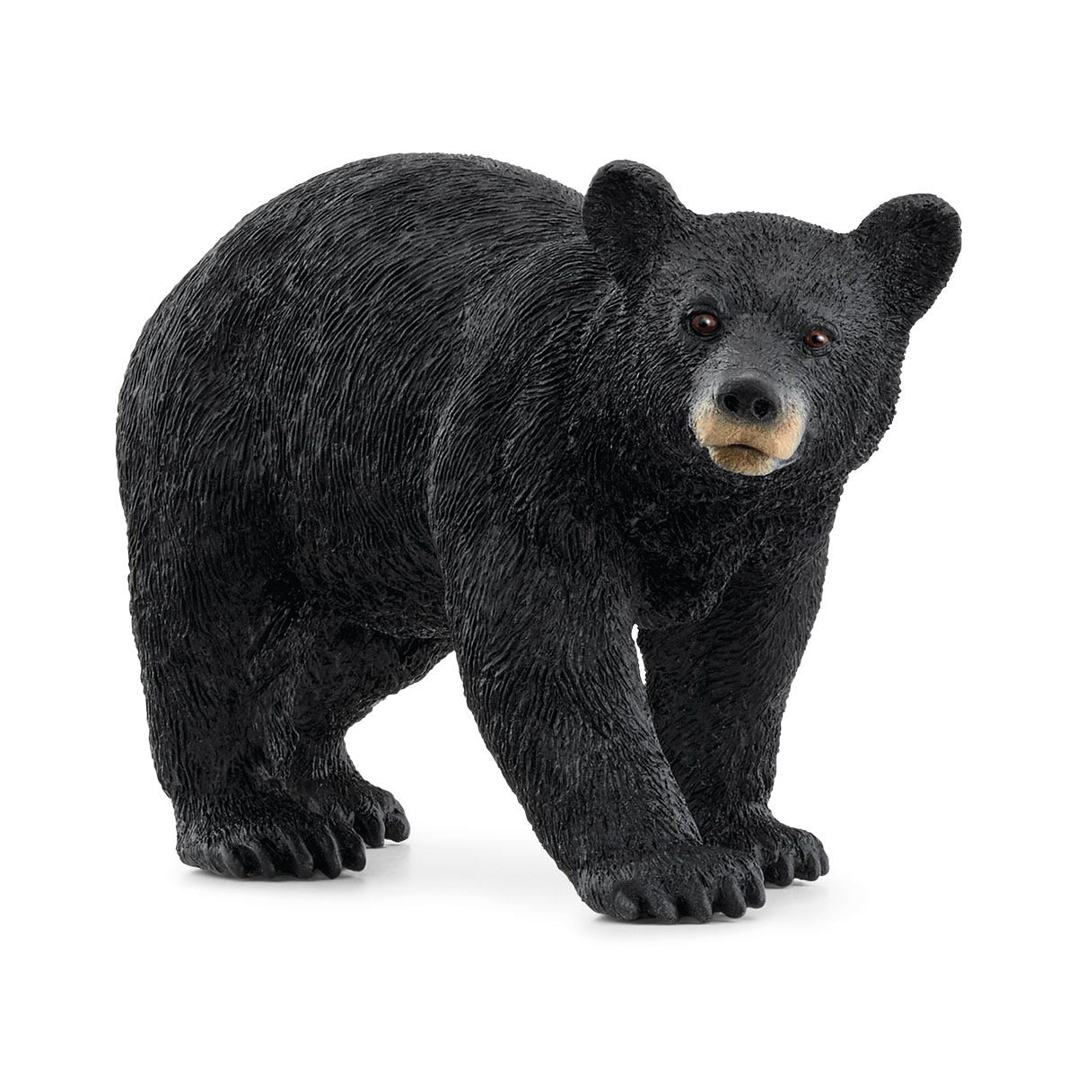 American Black Bear Figurine by Schleich #14869