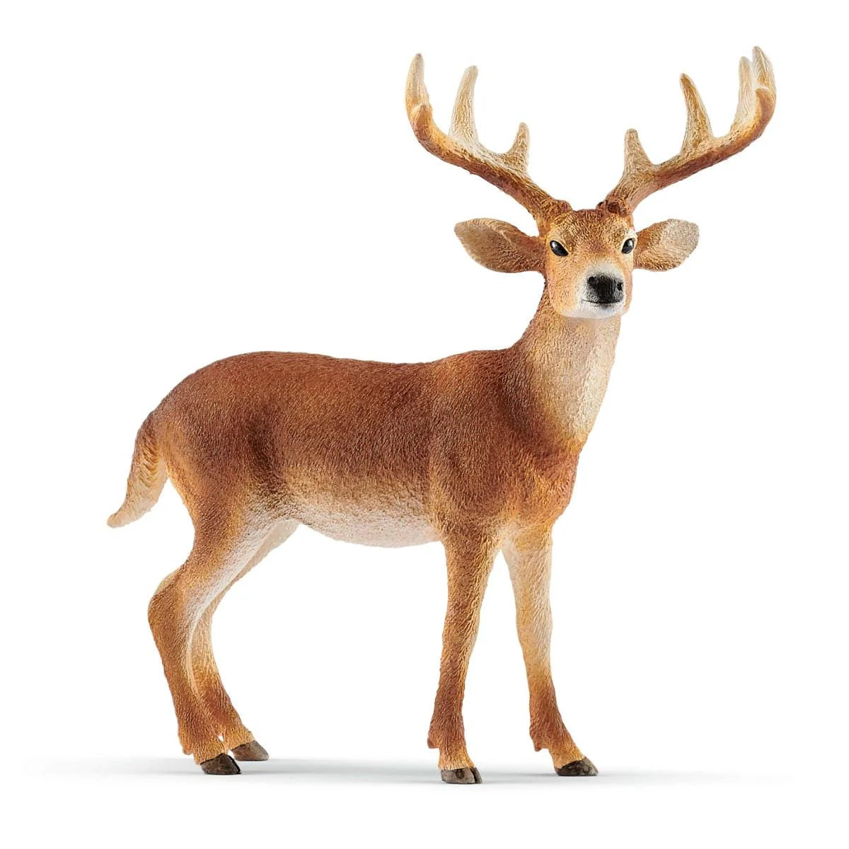 White-Tailed Buck by Schleich #14818