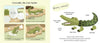 "Touch and Explore: Safari" Board Book