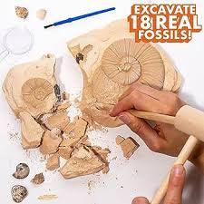 The Young Scientists Club Extreme Fossil Dig by Horizon #208004