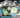 Pokémon Black Bolt Tech Sticker Collection #10-10128-108