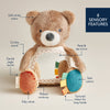 Theo The Bear - Itzy Bitzy Mirror™