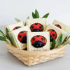 Ladybug Handmade Novelty Soap Bar VEGAN COLD PROCESS