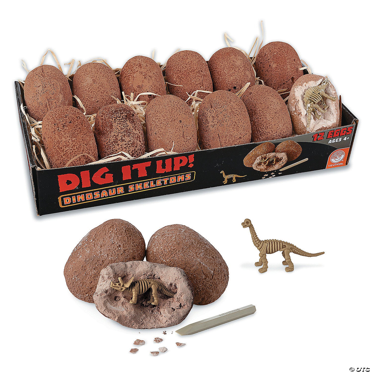 Dig It Up! Dinosaur Skeletons 12 Eggs by Mindware