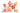 Peach | Set of 16