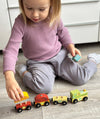 The Dinosaur Train