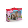 Beauty Horse Akhal-Teke Stallion by Schleich #42621