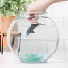 Dolphin by Schleich #14808