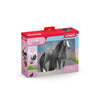 Beauty Horse Quarter Horse Mare by Schleich #42620