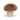 Vivacious Vegetable Mushroom by Jellycat #VV6M