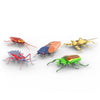 HEXBUG Real Bugs by Spinmaster #6068918