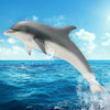Dolphin by Schleich #14808