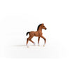 Oldenburger Foal Figurine by Schleich #13947